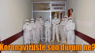 Koronavirüste son durum ne?