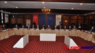 Kars'ta kadına yönelik şiddetin önlenmesi çalıştay başladı