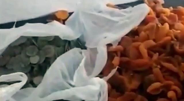 Kayısı kolilerinden Bizans dönemine ait eserler çıktı