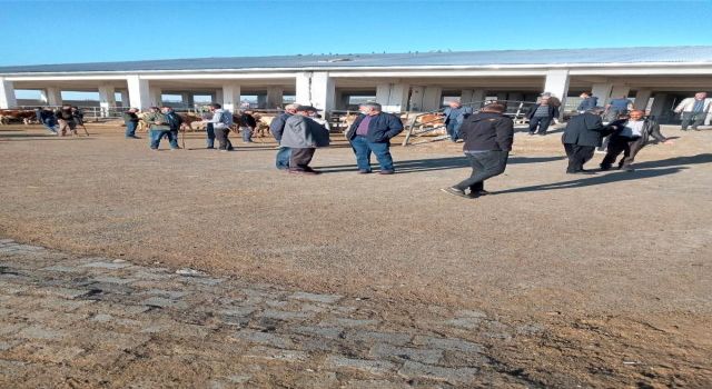 Hayvan Pazarı'nda Yeni tip corona virüs denetimi