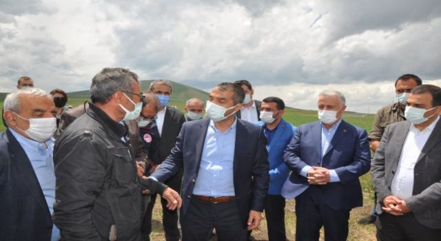 Kuraklık sorunu tarlada tespit edildi! | Kars Haber