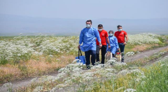 Sağlık ekipleri yaylada vatandaşlara Kovid-19 aşısı uyguluyor
