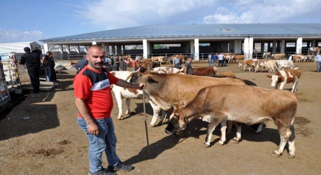 Kars 'ta Kurbanlıklar Pazara İndi | Kars Haber
