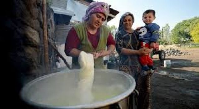 Kadınların elinden 3 000 rakımlı yaylalardan sofraya Kars çeçil peyniri