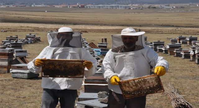 Kuraklık ve yangınlar ülkede bal rekoltesini düşürdü