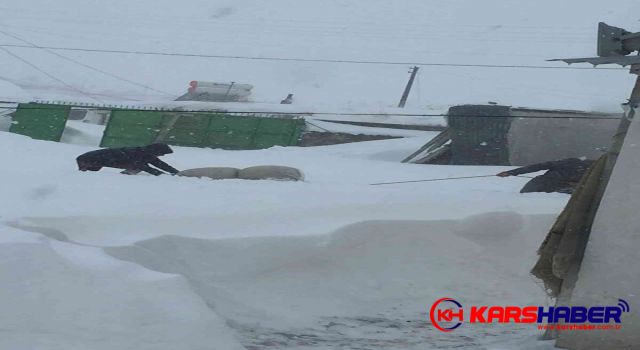 Kars’ta son 30 yılın en yoğun kışı yaşanıyor