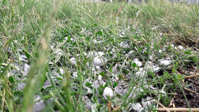 Kars'ta sabah dolu yağışı hayatı olumsuz etkiledi.