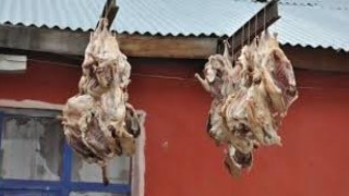 Kars'ta kesimi yapılan kazlar kurutulmaya başlandı