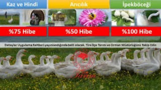 Arıcılık, ipek böcekçiliği, kaz ve hindi yetiştiriciliğine hibe desteğine başvuru için son gün 22 Ocak