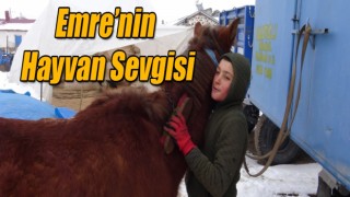 Kars'ta Emre Salgar'ın Hayvan Sevgisi