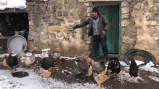 Hem evi hem işi idare eden koca: Evin direği kadınlarmış