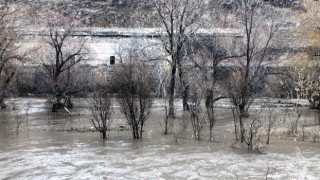 Kars Çayı taştı, ağaçlar sular altında kaldı | Kars Haber