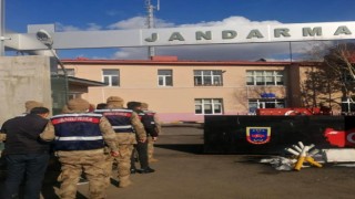 Kars'ta Jandarma Hayvan Hırsızlarına Göz Açtırmıyor