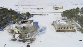 Selim ilçesinde, 'bozkırın ortasındaki vaha' olarak bilinen Benliahmet İstasyonu, çam ağaçlarıyla dikkat çekiyor