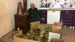 Kazlarının bakımı, beslenmesi ve büyütülmesi çaba gerektiriyor