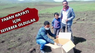 Kars Doğa Koruma Yaban Hayatı İçin Seferber Oldu