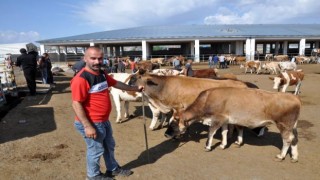 Kars 'ta Kurbanlıklar Pazara İndi | Kars Haber