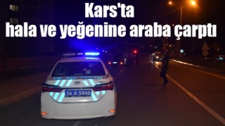 Kars'ta hala ve yeğenine araba çarptı