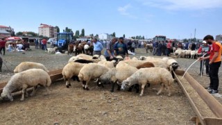 Kars'ta Kurban Pazarı'nda Son Gün Yoğunluğu