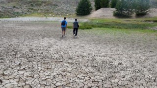 Kuraklık Yaban Hayatını Olumsuz Etkiliyor