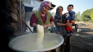 Kadınların elinden 3 000 rakımlı yaylalardan sofraya Kars çeçil peyniri