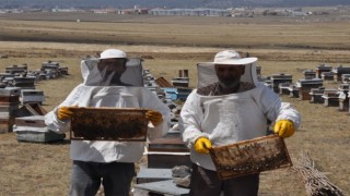 Kuraklık ve yangınlar ülkede bal rekoltesini düşürdü