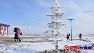 Kars'ta ağaç ve bitkiler kırağıyla beyaza büründü