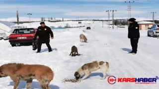 Selim’de polisten sokak hayvanlarına mama desteği