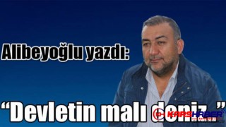 Alibeyoğlu yazdı: "Devletin malı deniz.."