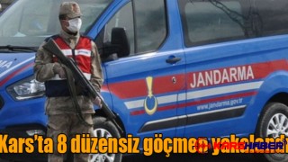 Kağızman'da 8 düzensiz göçmen yakalandı