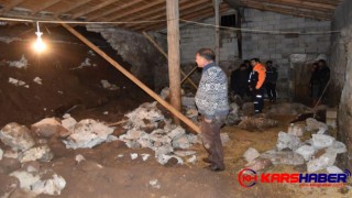 Kars'ta Çöken ahırdaki 70 küçükbaş hayvan telef oldu