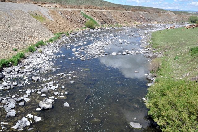 Kars Çayı'nda sular çekildi, balıklar mahsur kaldı