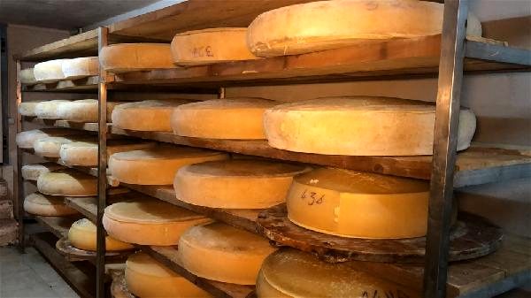 Kaşar ve Balın İnternet Üzerinden Satışları Arttı