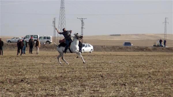 Selim'de Ciritte Heyecanlı Dakikalar